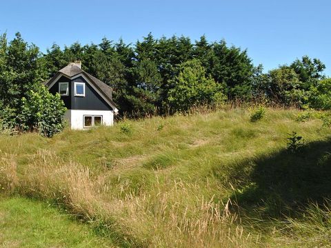 Texel Treasures - Texel - Afbeelding N°8