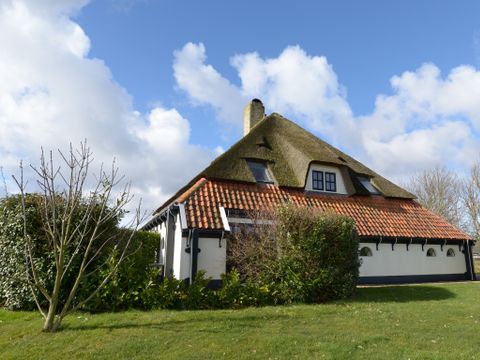Texel Treasures - Texel - Afbeelding N°14