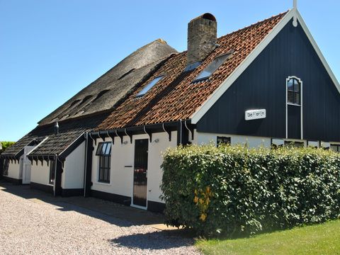 Texel Treasures - Texel - Afbeelding N°12