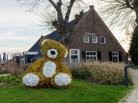 EuroParcs De Kraaijenbergse Plassen - Cuijk - Afbeelding N°17