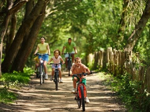 Center Parcs Park De Haan - Camping West-Vlaanderen - Afbeelding N°3