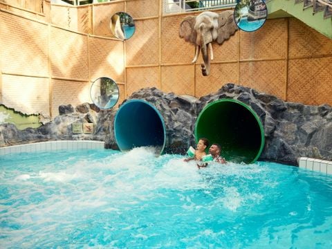 Center Parcs Park De Haan - West-Vlaanderen - Afbeelding N°3