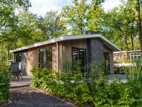 De Rimboe & Woeste Hoogte - Camping Apeldoorn - Afbeelding N°0