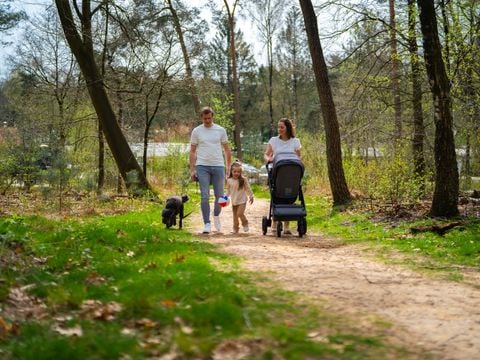 De Rimboe & Woeste Hoogte - Apeldoorn