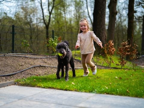 De Rimboe & Woeste Hoogte - Camping Apeldoorn - Afbeelding N°2