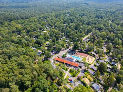 De Rimboe & Woeste Hoogte - Apeldoorn - Afbeelding N°3