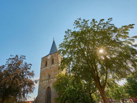 Ferienpark Grafschaft Bentheim - Nedersaksen - Afbeelding N°29