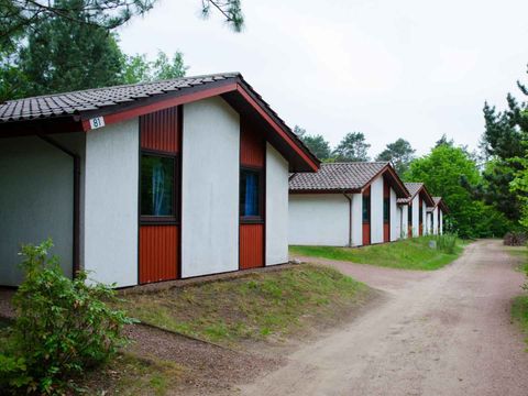 Ferienpark Grafschaft Bentheim - Nedersaksen - Afbeelding N°21