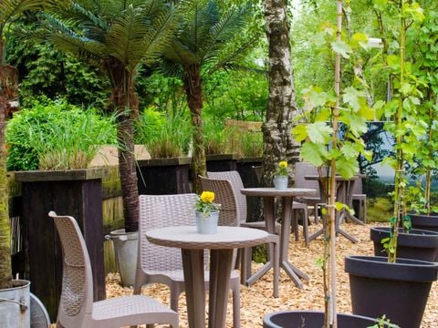 Ferienpark Grafschaft Bentheim - Nedersaksen