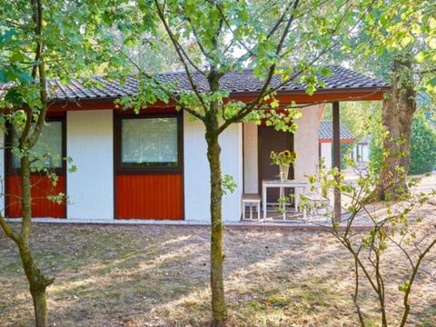 Ferienpark Grafschaft Bentheim - Nedersaksen - Afbeelding N°15