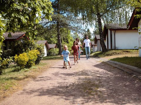 Ferienpark Grafschaft Bentheim - Nedersaksen - Afbeelding N°14