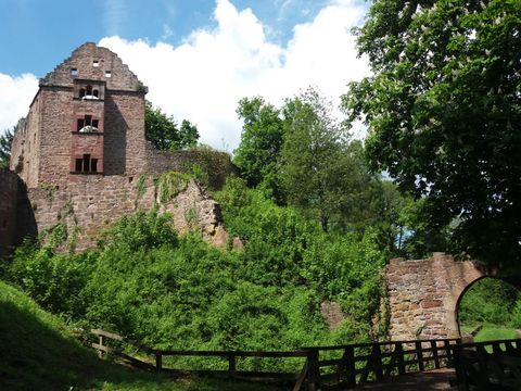 Feriendorf Waldbrunn - Baden-Württemberg - Afbeelding N°20