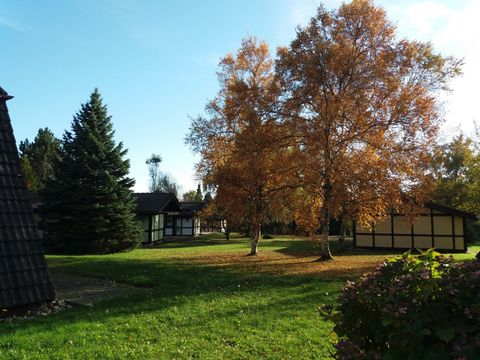 Feriendorf Waldbrunn - Baden-Württemberg - Afbeelding N°7