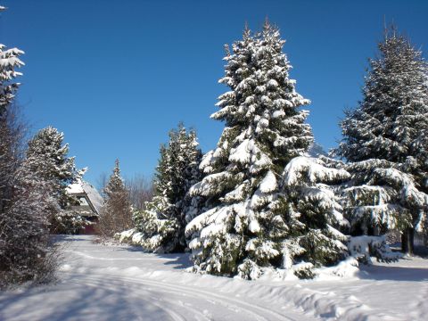 Feriendorf Waldbrunn - Baden-Württemberg - Afbeelding N°34
