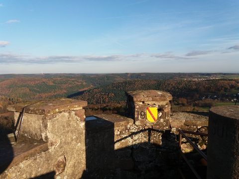 Feriendorf Waldbrunn - Baden-Württemberg - Afbeelding N°22