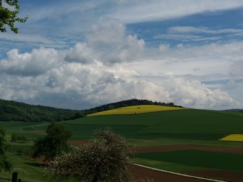 Feriendorf Waldbrunn - Baden-Württemberg - Afbeelding N°32