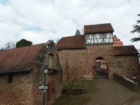 Feriendorf Waldbrunn - Baden-Württemberg - Afbeelding N°23