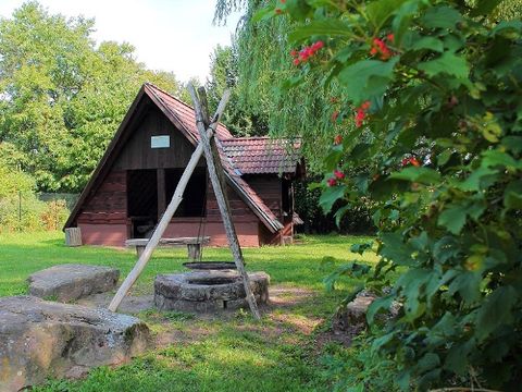 Feriendorf Waldbrunn - Baden-Württemberg - Afbeelding N°8