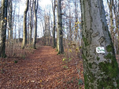 Feriendorf Waldbrunn - Baden-Württemberg - Afbeelding N°29