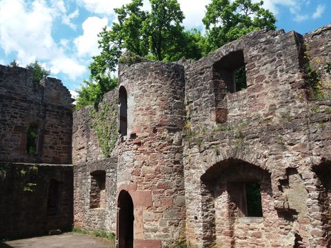 Feriendorf Waldbrunn - Baden-Württemberg - Afbeelding N°21