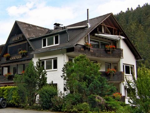 Sonnenhof Willingen - Camping Hessen - Afbeelding N°4
