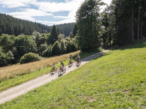 Landal Winterberg - Noordrijn-Westfalen