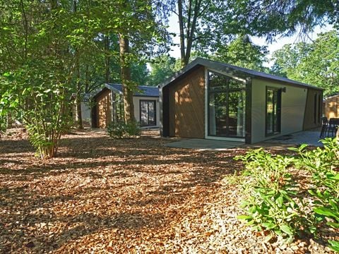 EuroParcs Utrechtse Heuvelrug - Utrechtse Heuvelrug - Afbeelding N°0