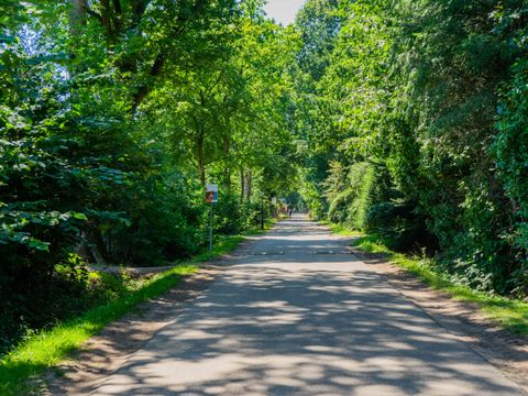 EuroParcs Utrechtse Heuvelrug - Utrechtse Heuvelrug - Afbeelding N°18