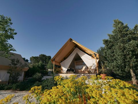 EuroParcs Utrechtse Heuvelrug - Utrechtse Heuvelrug - Afbeelding N°16