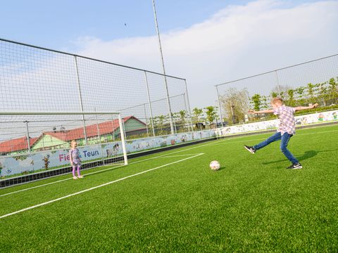 Familie Resort Molenwaard - Camping Molenlanden