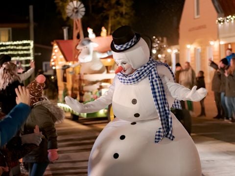 Familie Resort Molenwaard - Camping Molenlanden - Afbeelding N°5