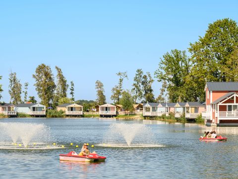 Familie Resort Molenwaard - Camping Molenlanden - Afbeelding N°5