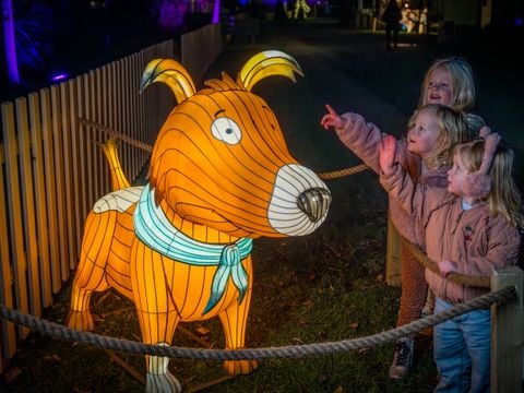 Familie Resort Molenwaard - Molenlanden