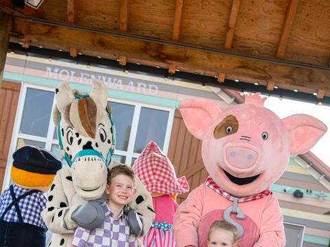 Familie Resort Molenwaard - Molenlanden - Afbeelding N°14