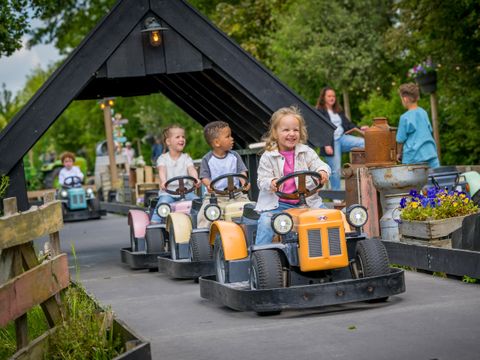 Familie Resort Molenwaard - Molenlanden - Afbeelding N°23