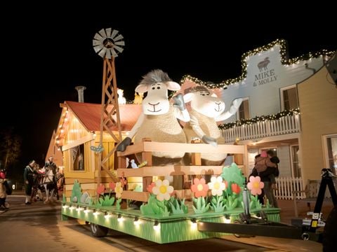 Familie Resort Molenwaard - Camping Molenlanden