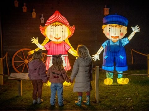 Familie Resort Molenwaard - Molenlanden