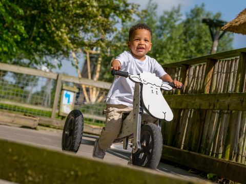 Familie Resort Molenwaard - Camping Molenlanden - Afbeelding N°2