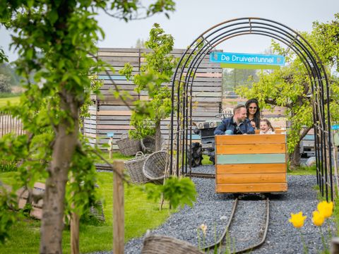 Familie Resort Molenwaard - Molenlanden - Afbeelding N°18
