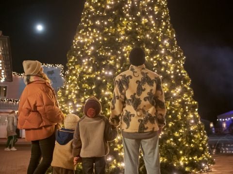 Familie Resort Molenwaard - Molenlanden