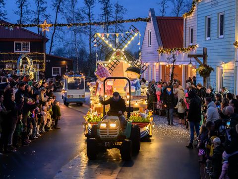 Familie Resort Molenwaard - Molenlanden - Afbeelding N°58