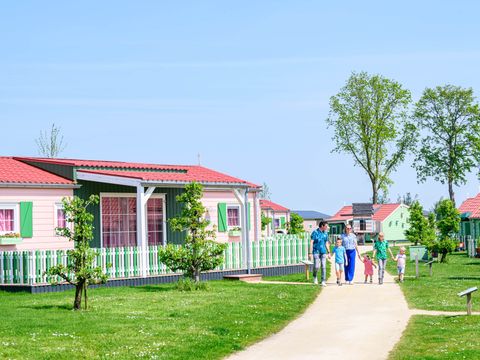 Familie Resort Molenwaard - Camping Molenlanden - Afbeelding N°5