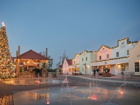 Familie Resort Molenwaard - Molenlanden - Afbeelding N°49