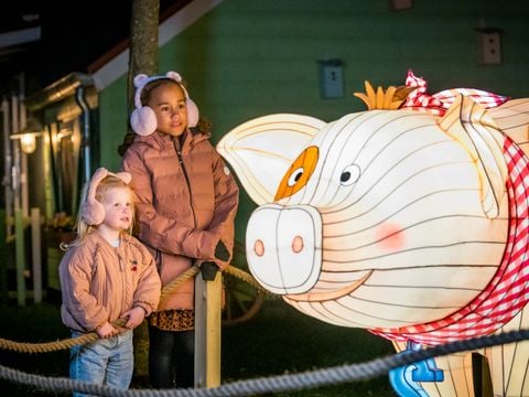 Familie Resort Molenwaard - Camping Molenlanden - Afbeelding N°3