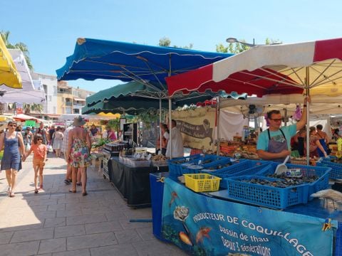 Residentie Le Florid - Camping Hérault - Afbeelding N°2