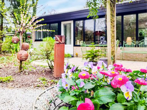 Novasol Vakantiepark Sunclass Sonnevijver - Camping Belgisch Limburg - Afbeelding N°2