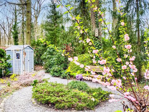 Novasol Vakantiepark Sunclass Sonnevijver - Camping Belgisch Limburg - Afbeelding N°3