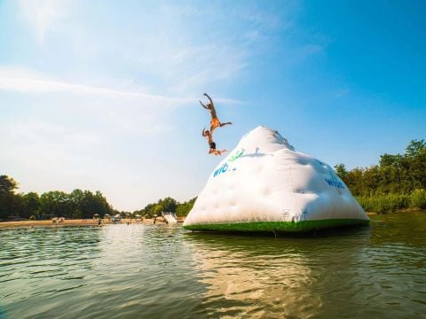 Papillon Country Resort - Camping Dinkelland - Afbeelding N°2