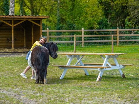 EuroParcs Hoge Kempen - Belgisch Limburg - Afbeelding N°22