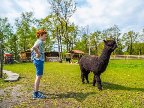 EuroParcs Hoge Kempen - Belgisch Limburg - Afbeelding N°23